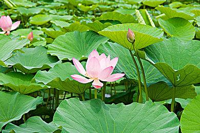 《OPUS：心相吾山》今秋发售！现公开最新角色介绍以及世界观等游戏详情